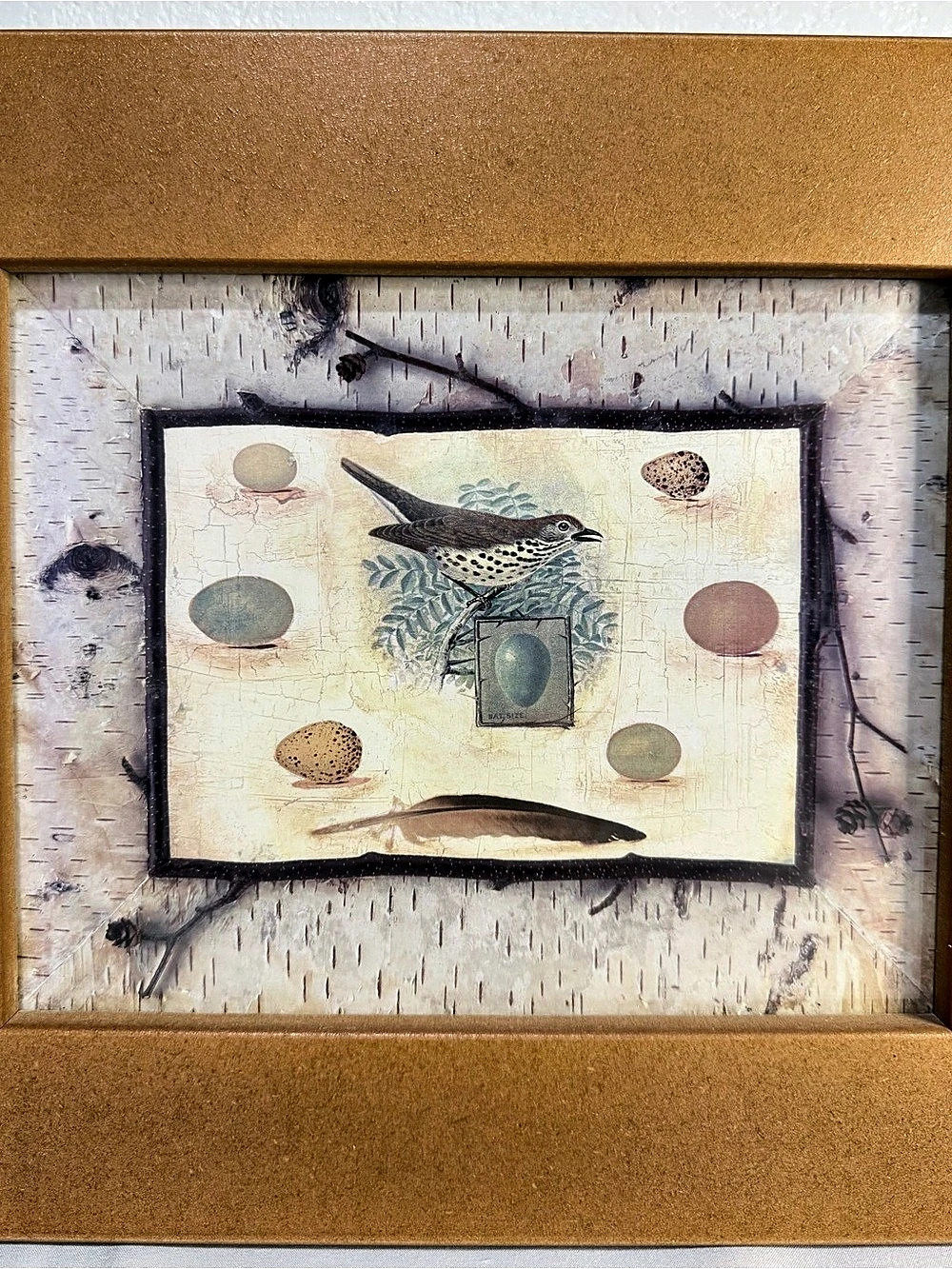Vintage Bird W Egg #1 Audrey Jeanne Roberts âWelcome To Our Nest â Wood Frame